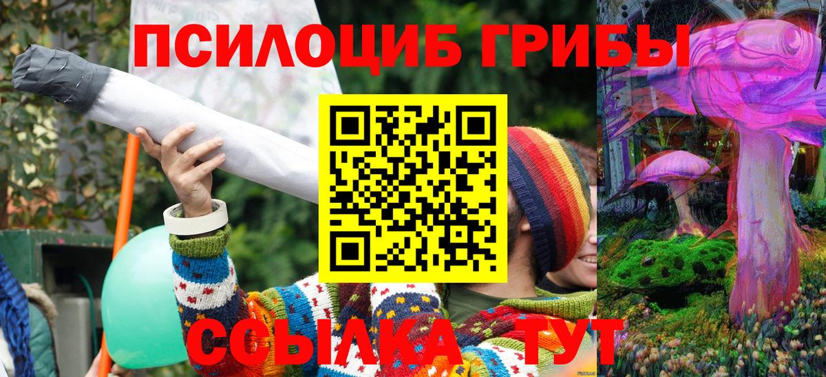 Тобольск  Псилоцибиновые грибы Psilocybe  Галлюциногенные грибы Magic Shrooms  Вход с VPN 