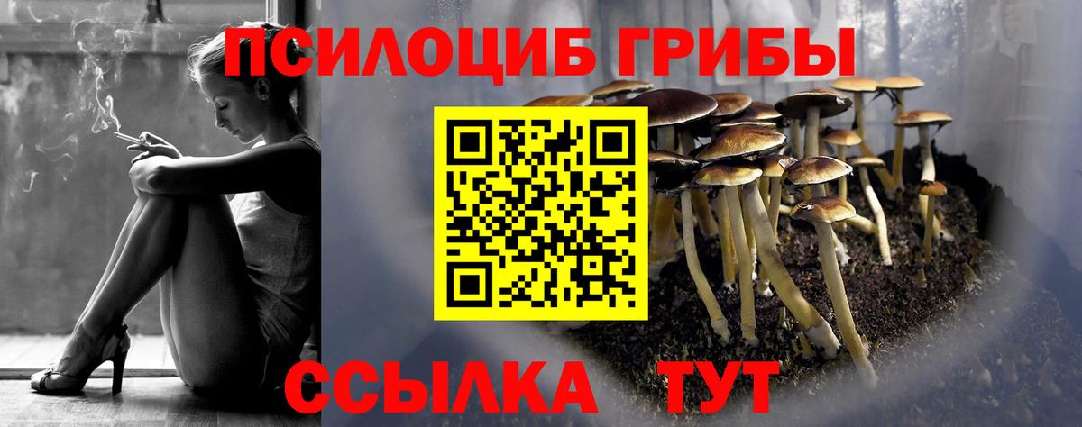 Галлюциногенные грибы Magic Shrooms Тобольск